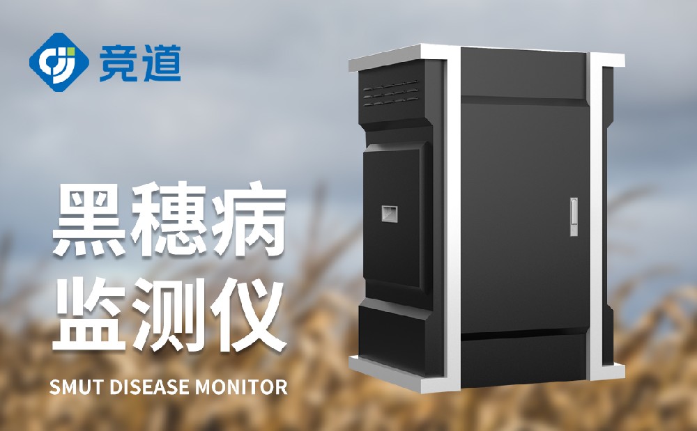 玉米黑穗病监测仪