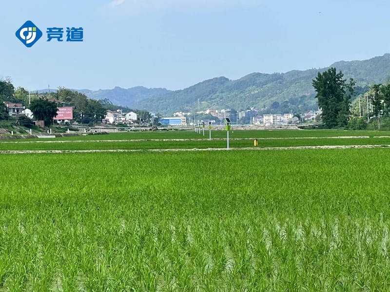 虫情测报灯.jpg